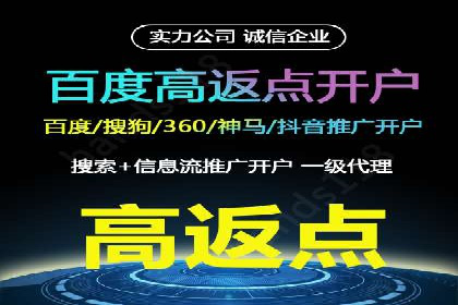 百度竞价赚钱之道：案例分析及技巧