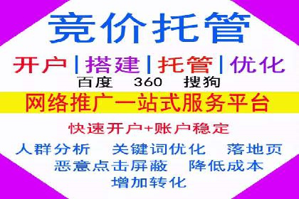 网站SEM托管服务客户案例分享